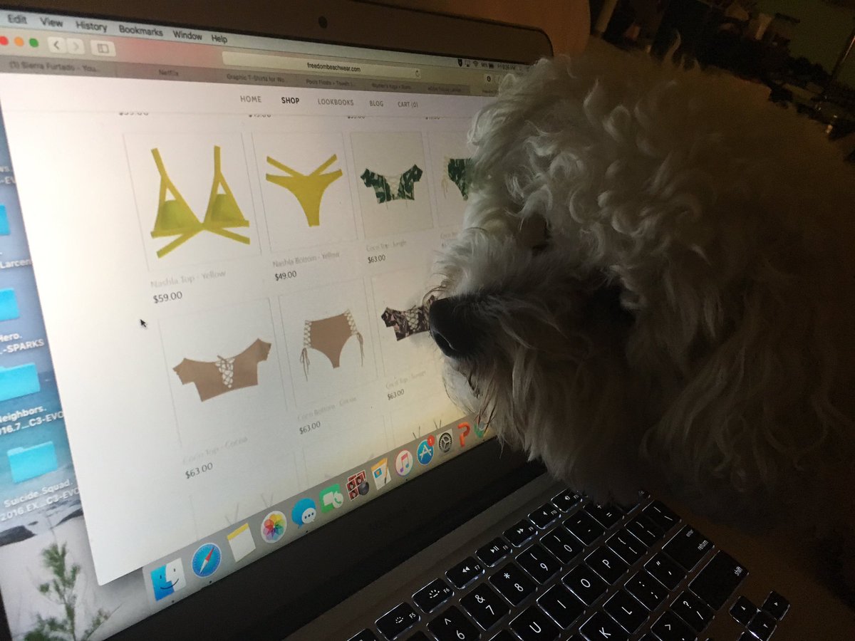 _sunburstkitten's tweet image. last night ko was helping mads and i look for new kinis but a guess he gave up after a while