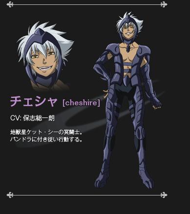 聖闘士聖衣神話EX地獣星 ケットシー チェシャロストキャンバス 聖闘士星矢 聖闘士聖衣神話EXサイズ 地獣星 ケットシー チェシャロストキャンバス