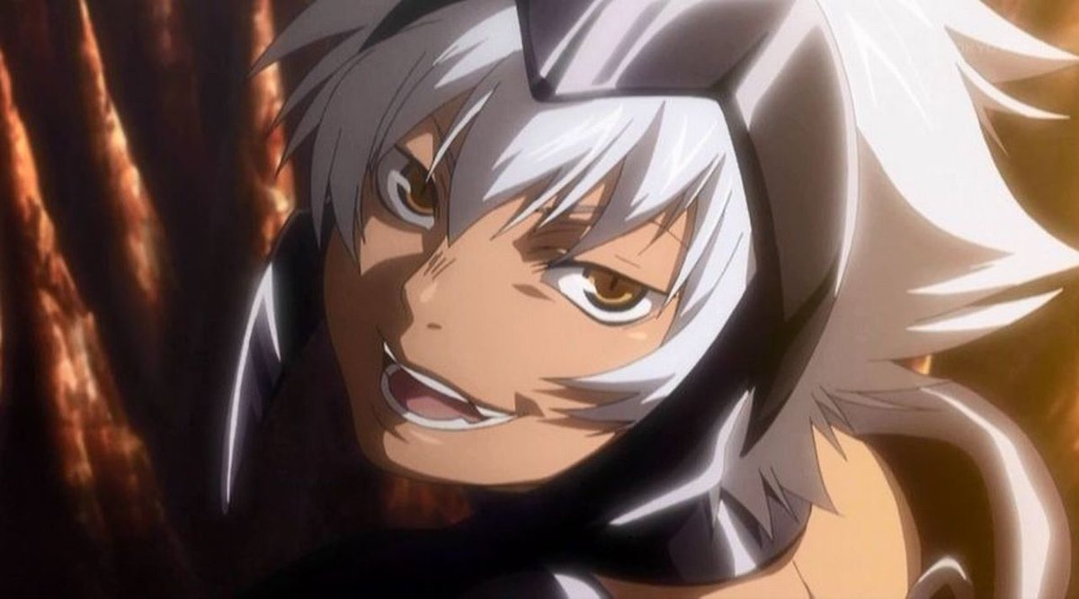 聖闘士聖衣神話EX地獣星 ケットシー チェシャロストキャンバス 聖闘士星矢 聖闘士聖衣神話EX地獣星 ケットシー チェシャロストキャンバス 聖闘士