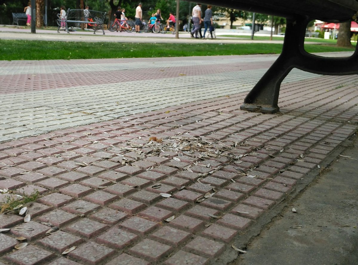 kirk1008's tweet photo. Estupendo las multas por excremento pero cuando multas por llenar parque de basura? Todas las tardes pipas, latas, bolsas... @Ayto_Torrejon https://t.co/C5mwr0ljg5