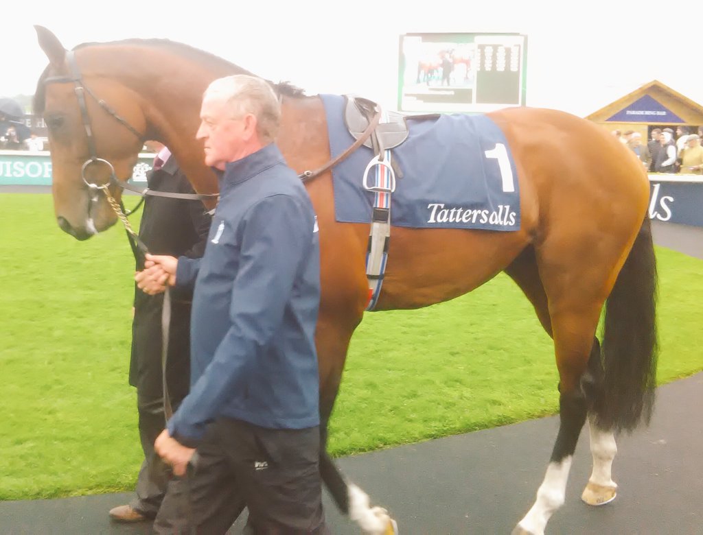 desertdove7's tweet photo. @emarroq109 The #Awesome #Churchill Today At the #Curragh #NothingAsGood For The #InsideOfAMan As The #OutSide of A #Horseπππ https://t.co/lb6zC4BwSR