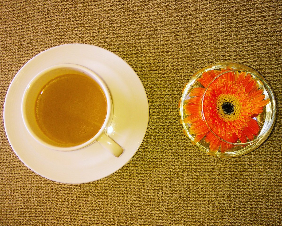 picsogasm's tweet photo. A cup of tea is a cup of peace ! © #picsogasm https://t.co/bX03wc9t6w