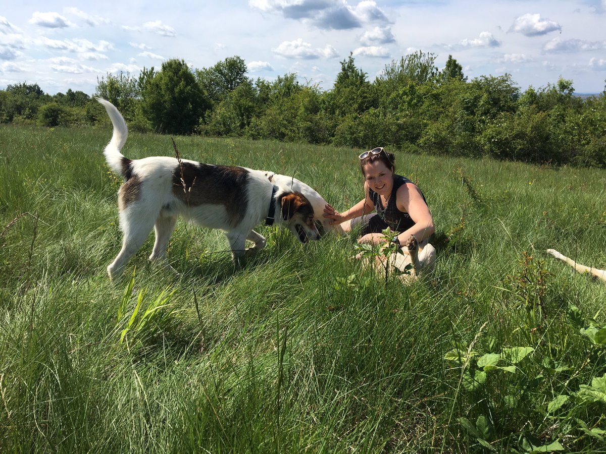 landeladogs's tweet photo. 🐾We'll be in the #Bristol area from 6th June for #dogtraining and behavioural consultations. A few spaces left. Get in touch to book. 🐾🐾 https://t.co/yYQeQGx1Xe