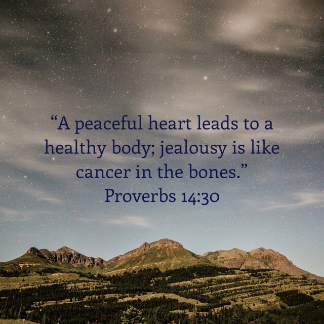 David Fedele tweet media