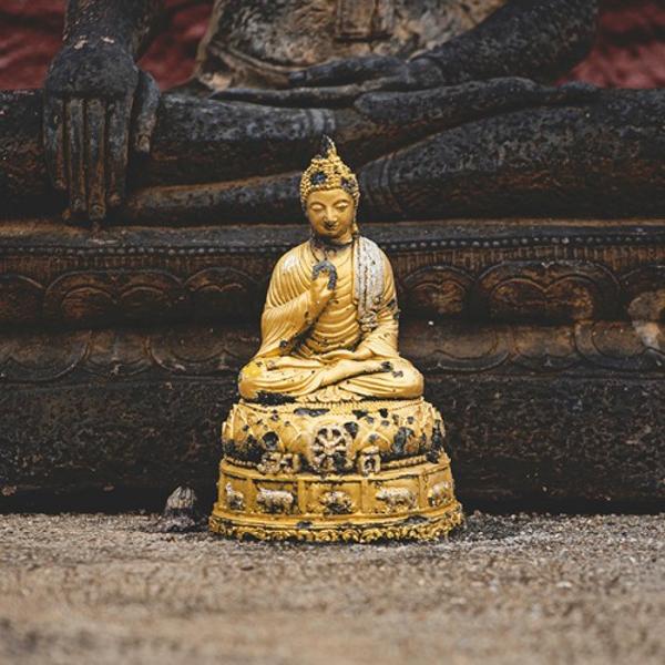 Primal_Digest's tweet photo. @lacellabella Silencing Your #MindMonkey: How Mindfulness Can Help...
https://t.co/BzsTGpK5Wc via forbes https://t.co/7nAgtftCy8