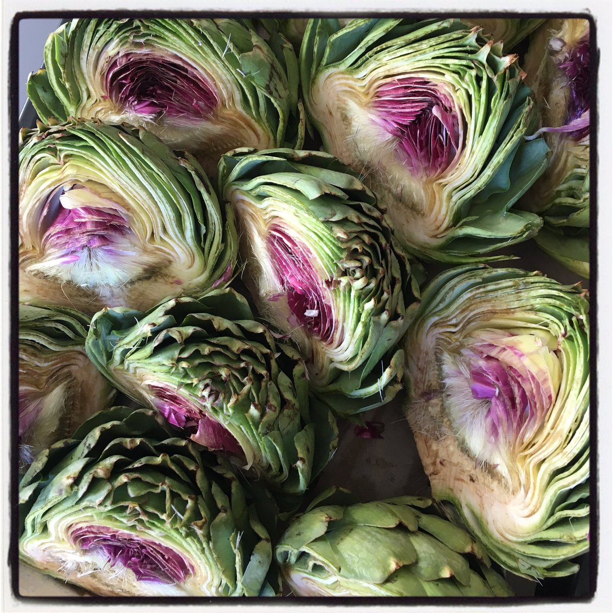 SilverSpoonProj's tweet image. #carciofi #artichoke 💙