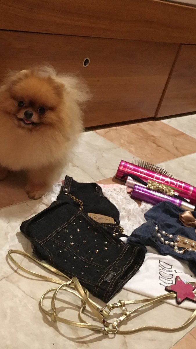 Yoda preparando su outfit para el más presumido en #100x100mascota 😍