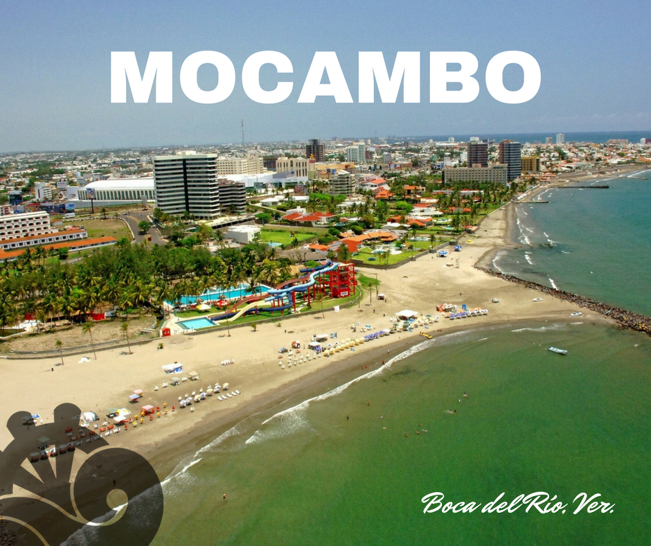 hotel_mocambo's tweet photo. https://t.co/0LgrHrw826