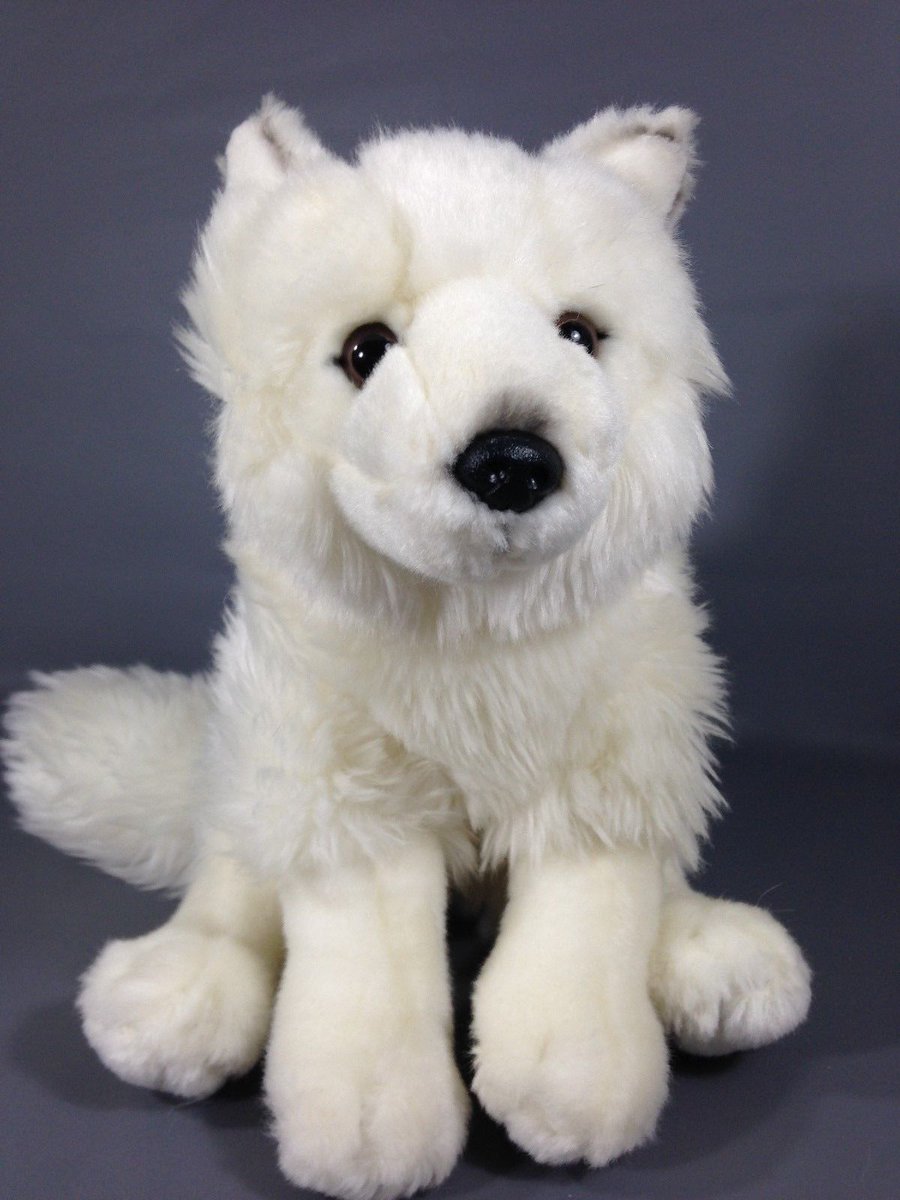 arctic fox webkinz