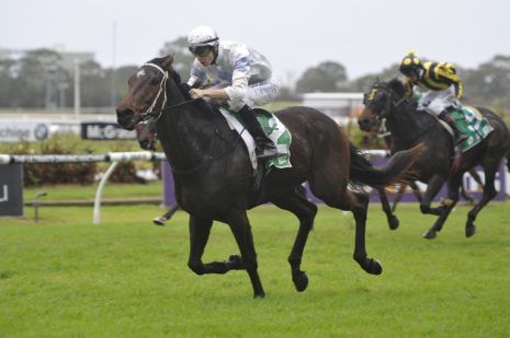 justhorseracing's tweet photo. 🏆 NOWRA CUP DAY 🏆
View our Nowra TIPS: https://t.co/oXYNW1XVPr
#NowraCup https://t.co/HRCFg3TP4r