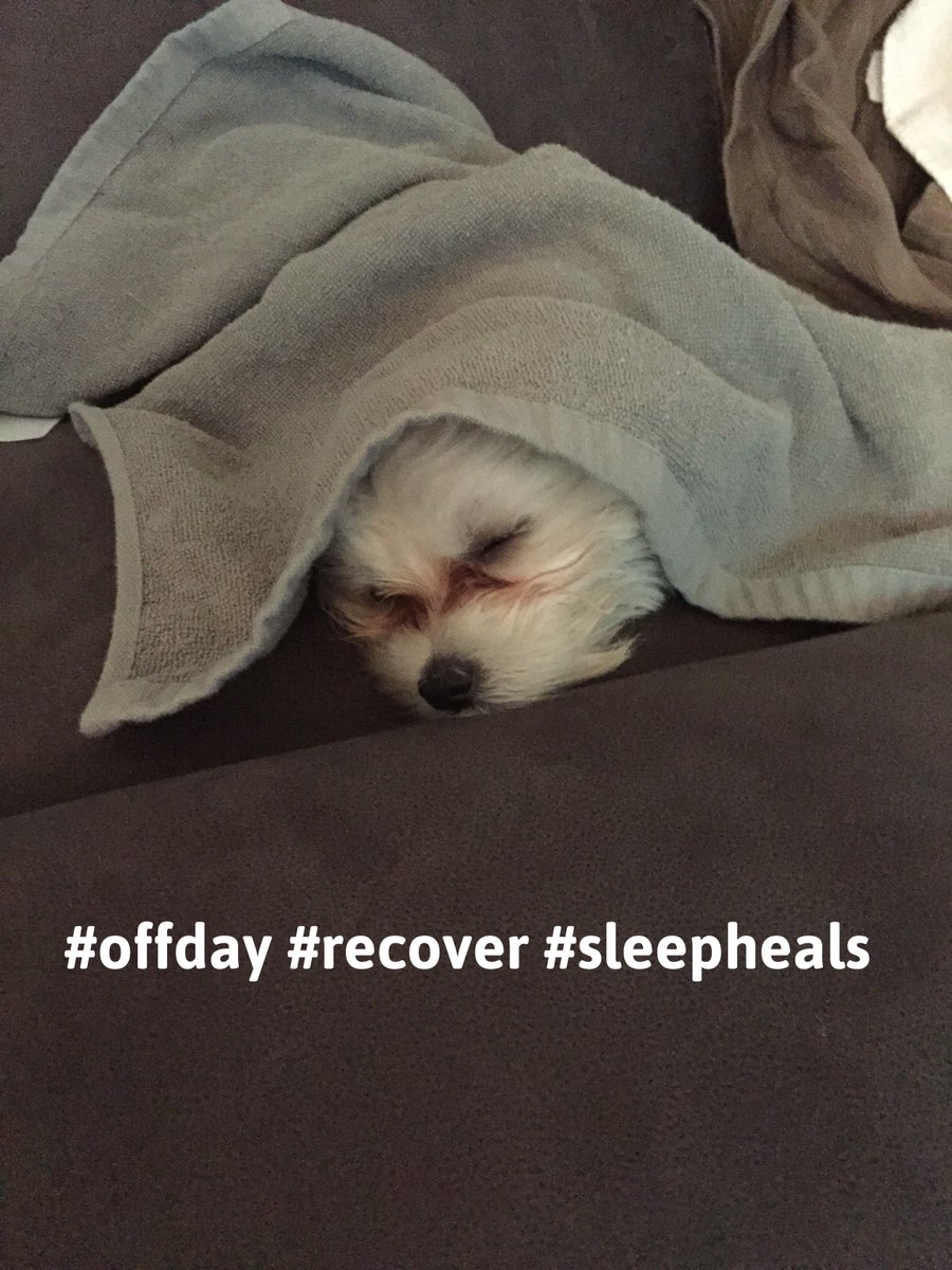 SusanRWellness's tweet photo. #rest is critical for #muscle to #recover #balance #soflowellbody #susanreardonwellness #77reboot https://t.co/0fjtzSWuo9