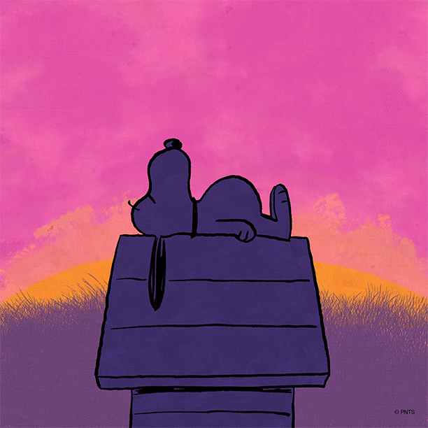 Snoopy's tweet photo. Summer nights https://t.co/ERtN0wzjiF