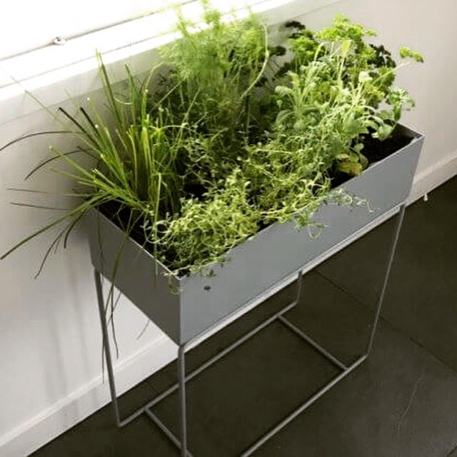 Leuke winactie op onze blog in samenwerking met <a href="/MisterDesignNL/">MisterDesign</a>, kijk snel hoe je meedoet: tuinenbalkon.nl/indoor-kruiden… #winactie #kruidentuin