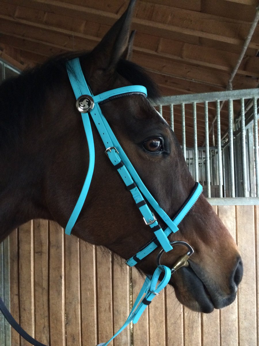 swisshorseshop (@swisshorseshop) on Twitter photo 