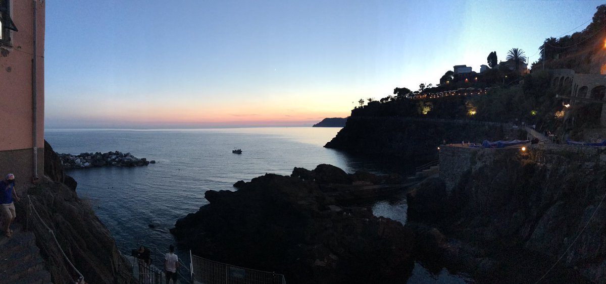 Sara Koch tweet media