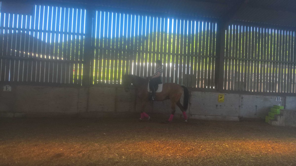 #Beast #summerschooling #intheshade