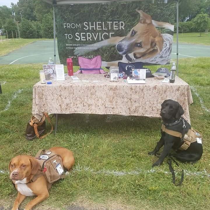 semperk9's tweet photo. Quantico Festival today! Vinny and Truman representing! #semperk9svinny #servicedog #intraining #veteranshelpingveterans #Quantico #semperf… https://t.co/xGvzG3gNcC