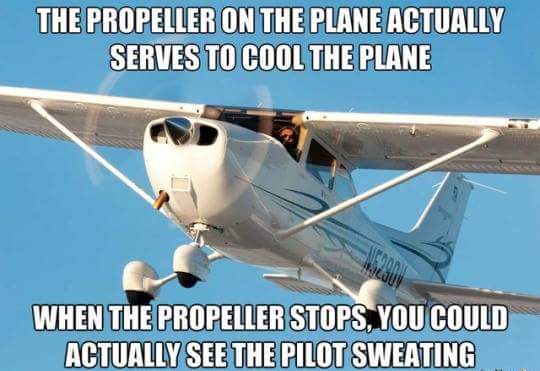 The real JohnnyMeere tweet media