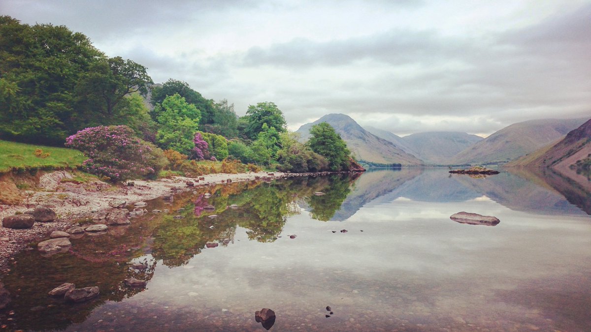 Chris Garner tweet media