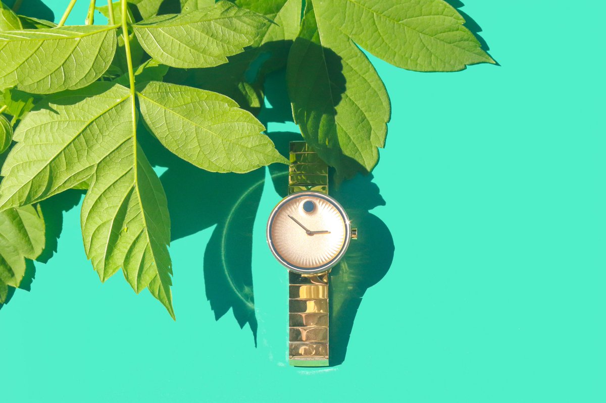 Movado's tweet photo. One with nature & design #Movado #HelloEdge I Photo courtesy of @lellopepperhttp://bit.ly/2q7SFnM https://t.co/pk5AWkGH1q