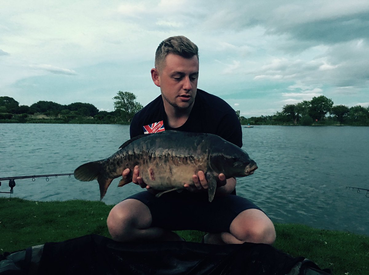 samevans062's tweet photo. #creativecarp https://t.co/EBtPWFhoiF