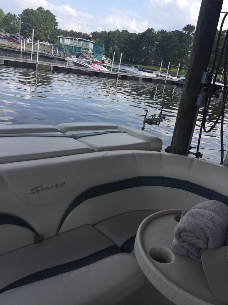HowardBallou's tweet photo. Family outing #ontherez #geeseandgoslings https://t.co/xNQgXILKy0