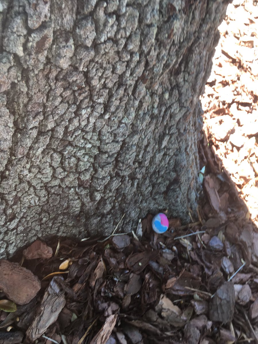 SparkOrganizing's tweet photo. Hiding rocks around Baldwin Park! #bprocks (check out the Facebook group to join in!) https://t.co/5EnmSAjHMG