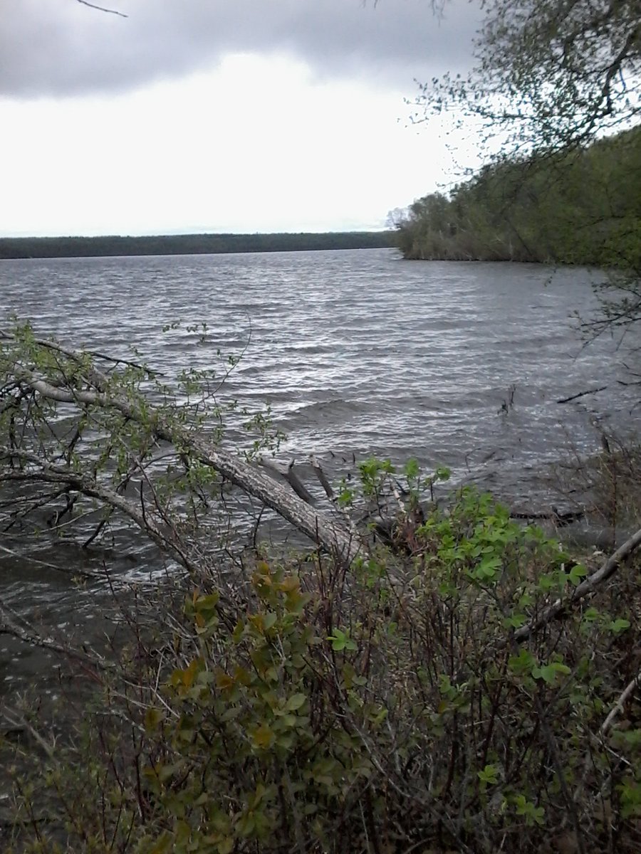 RaeSlippery's tweet image. Why does it have to be so damn cloudy, oh well 😍😍