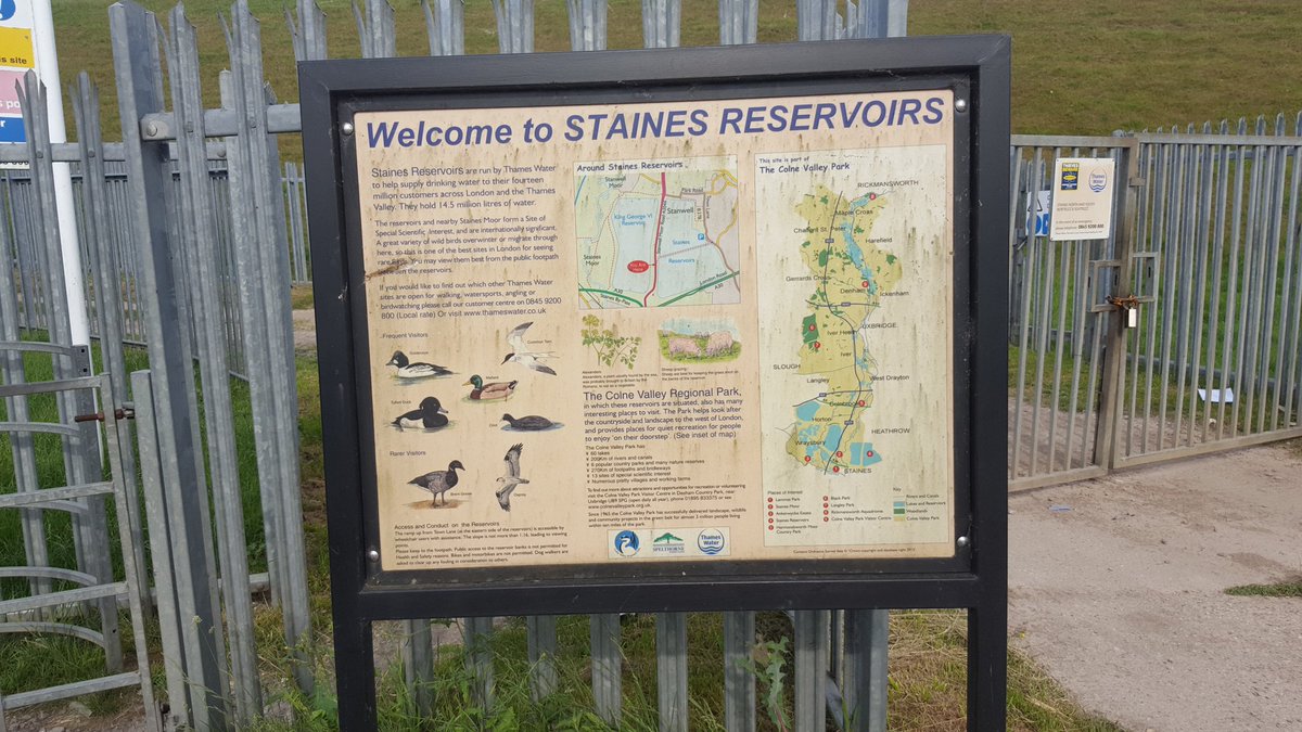 days_wild's tweet photo. Had a quick half hour at Staines Res today. Haven't been in an age and still plenty to see #birding #birds https://t.co/D7eLb43Oqb
