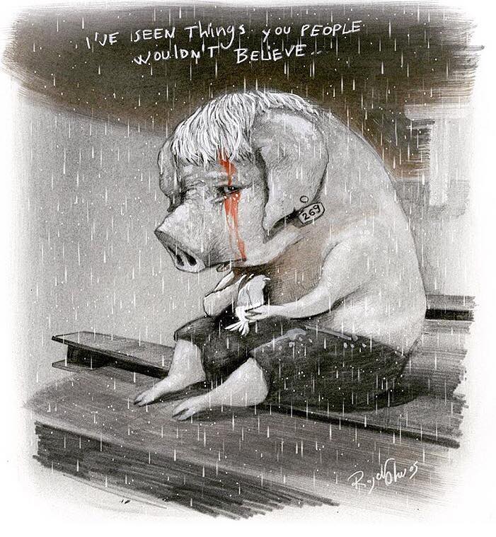 sarakaysen_'s tweet photo. "#269Life I ve seen things you people wouldn't believe" @269_life 🎨#BeFairBeVegan #AnimalRights #Free269 #StopAnimalAbuse https://t.co/8G87I9Xt43
