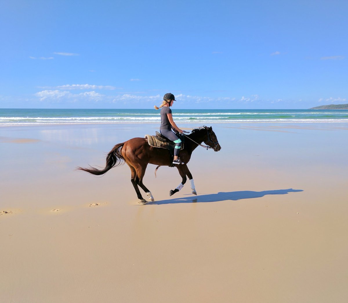 noosahorses's tweet photo. Loving this beach. https://t.co/KmWacFa3Sy