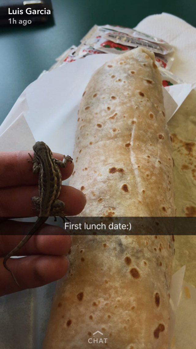 chlowimmer's tweet photo. some of my coworkers > everything https://t.co/rkhfJwZk2L