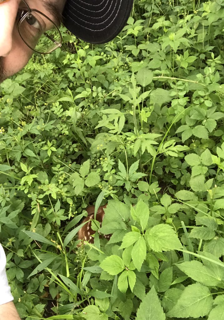 Nearly stepped on this lil guy