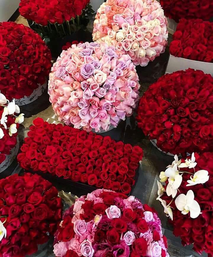 H_W_S_'s tweet photo. #الاميره_دون_ميعاد_25K_محب
-

🕊🌸الــف ᓚ۶ᒧgggȷɹ̣ᓄ 🌸🕊
🕊🌸يارب شاهدين لك بالخير🌸🕊
♡⌒✰‿✰⌒♡
┊ ┊🕊┊
┊🌸┊ ☆
☆
✨🌸✨🌸✨🌸
🦋 
@Jj_881 
#ادمنتكگ
#دون_ميعاد https://t.co/fDVbOkzm26