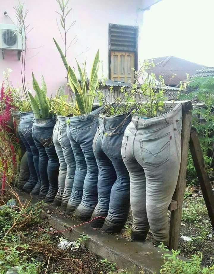 AmazlngPictures's tweet photo. Old blue jeans made into planters 🌴🌿🍃☘️🌾 https://t.co/xl70YMrdxa
