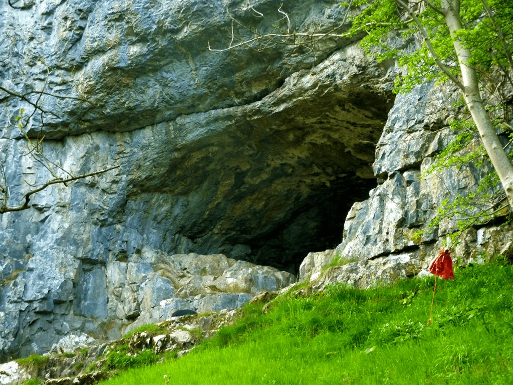 microadventure tweet media