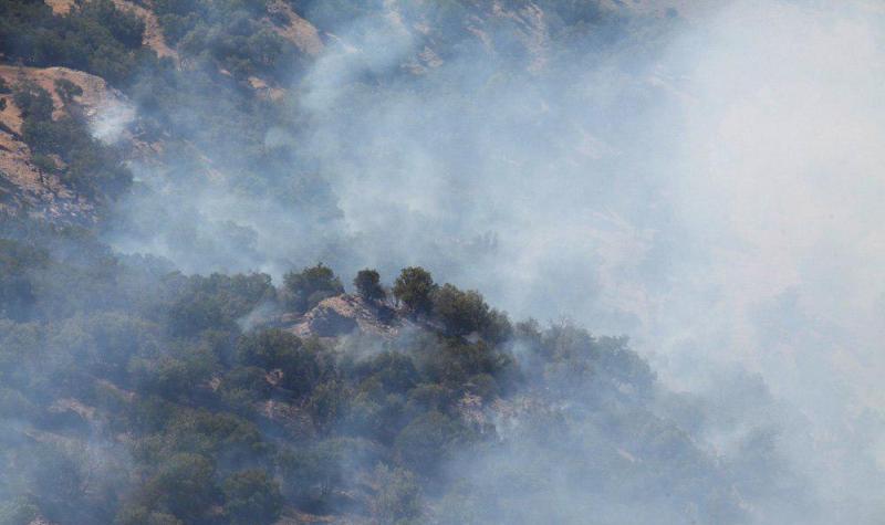 truskesadeghi's tweet photo. firefighters battle forest fires during last week in #Zagross forests;#Kurdistan #Iran. more than 10 hectare burned #ilam @NationalForests https://t.co/7dZvzO82Oe