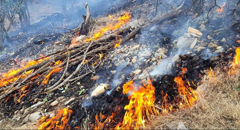 truskesadeghi's tweet photo. firefighters battle forest fires during last week in #Zagross forests;#Kurdistan #Iran. more than 10 hectare burned #ilam @NationalForests https://t.co/7dZvzO82Oe