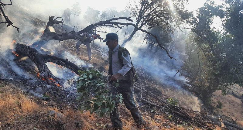 truskesadeghi's tweet photo. firefighters battle forest fires during last week in #Zagross forests;#Kurdistan #Iran. more than 10 hectare burned #ilam @NationalForests https://t.co/7dZvzO82Oe