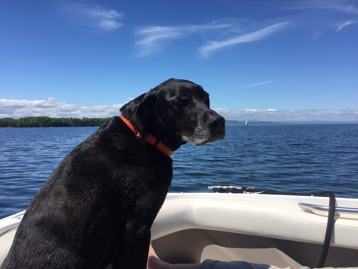 HVBeerConcierge's tweet image. Rod settling into summer.