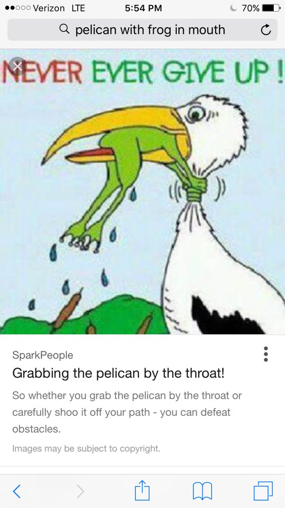 pstoeck's tweet photo. @Cardiganian @bob_leboeuf @wngosugc  https://t.co/LQMbTglrcQ