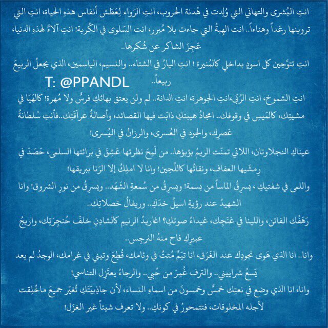 PANDL. tweet media