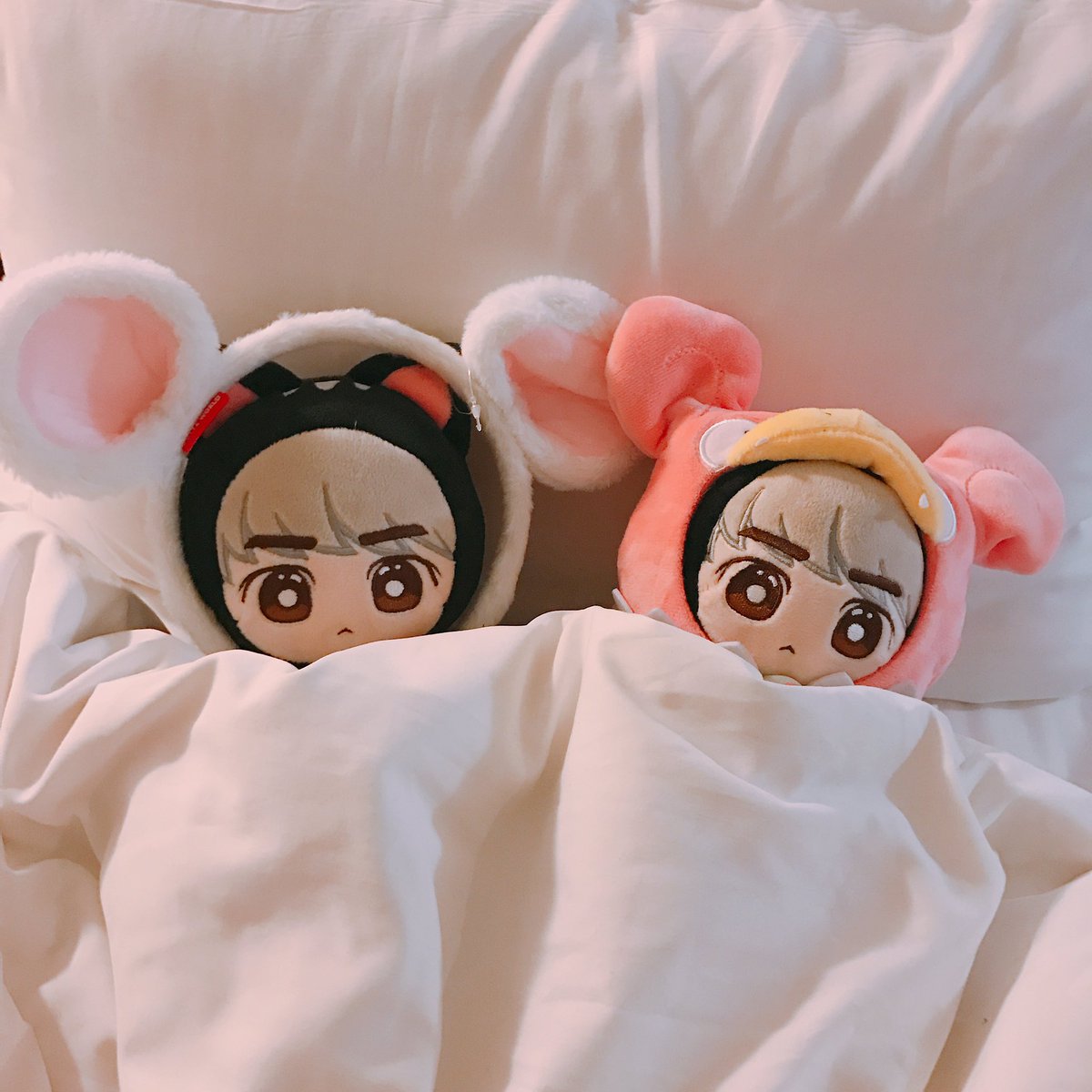 tyongcat71's tweet photo. 좋은아침이다냥😺 https://t.co/Z47pIKqJYm