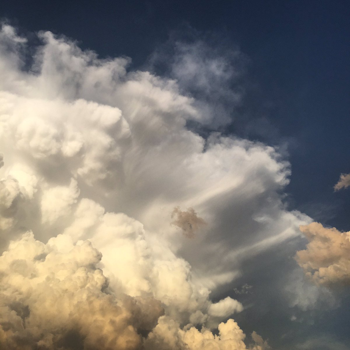 _mspennyyy's tweet image. #cloudvibes #clouds #pretty #sky #nofilter ☁️ 💙☁️💙☁️