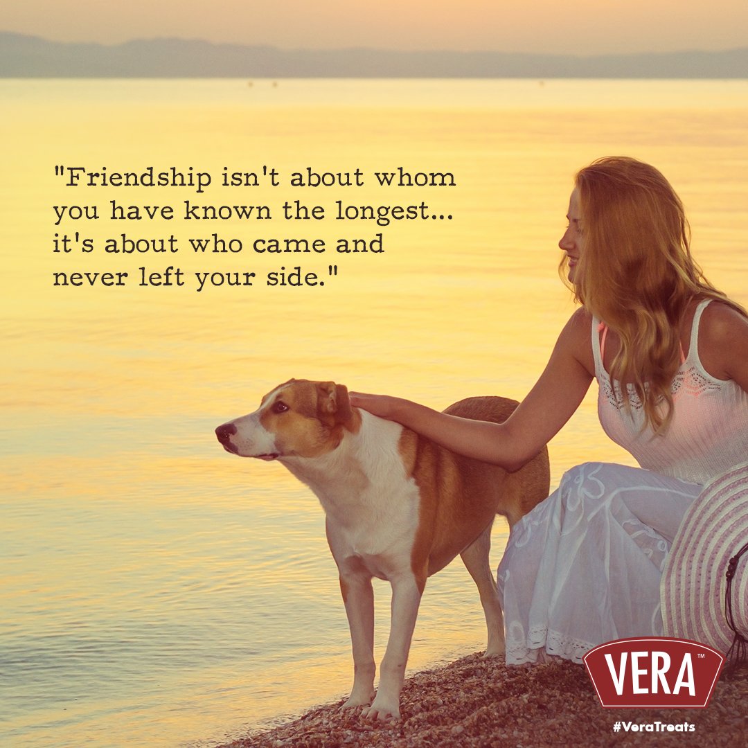 VeraTreats's tweet photo. Always by your side. #VeraTreats #DogTreats https://t.co/aUQS8iS55j
