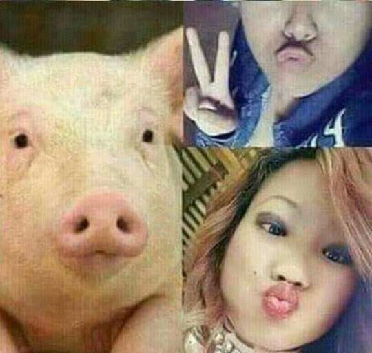 😂lol