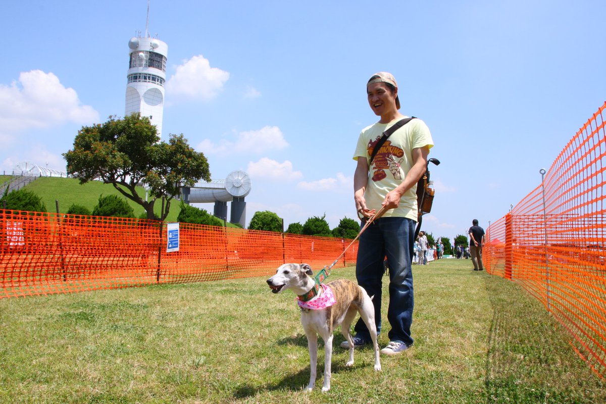 dogeventclub's tweet photo. ■ #DECCL × #学わん祭 #2017
#ドッグタイムレース #チャンピオンズリーグ 午前中はウィペットさん達の格好いい迫力のあるレースを繰り広げられています✨
まもなく決勝戦です!!
さぁ…優勝は誰の手に!?!? https://t.co/3WxtzwvwJl