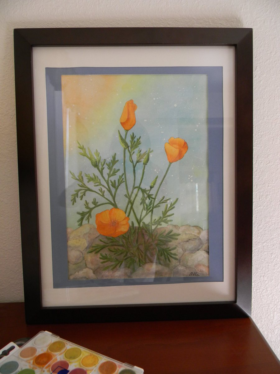 I am painting....sometime...🖌️😊 #Poppy  #californianpoppy