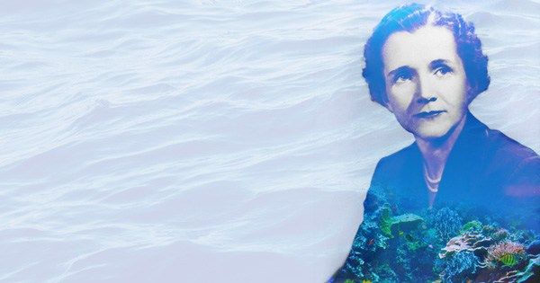 Explorer's tweet photo. How Rachel Carson,born 110 years today,revolutionized science writing and revealed Earth from a nonhuman perspective https://t.co/Q0EIToTBxK https://t.co/49rtUgWGl1