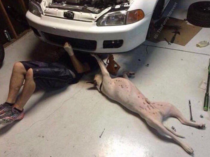 FunnyPicsDepot's tweet photo. "Maybe there's a problem with the sub woofer.."

"Bob, this is not the fucking time" https://t.co/PRgfJ88GNJ